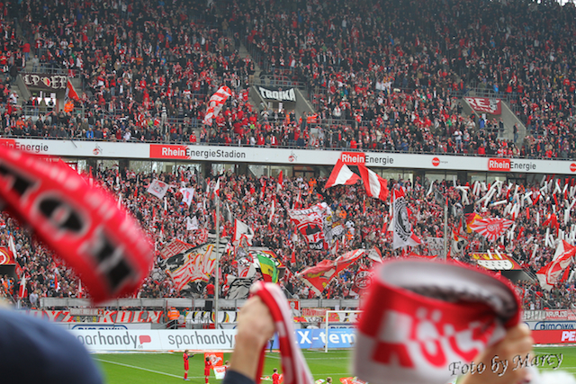 und noch einige Bilder

