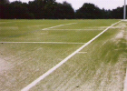 thumbs/sportplatz3.png